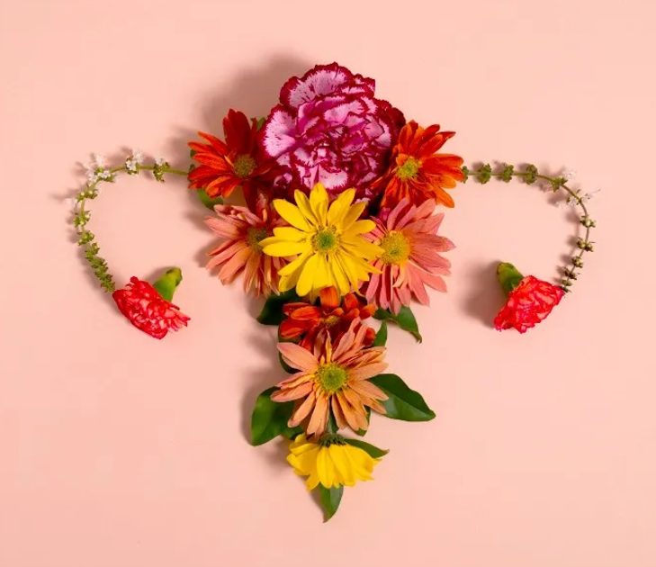 A group of flowers arranged in a shape of a uterus
Description automatically generated